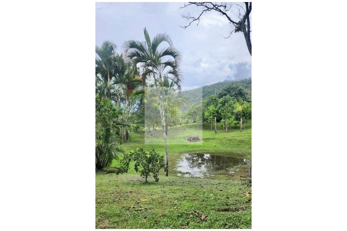 Vende Finca Villeta Salitre Blanco, UrbanLex área 30.000M2 $900Millones