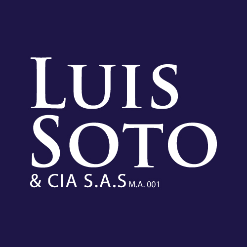 Inmobiliaria Luis Soto